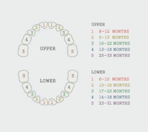 kid's dentists near columbia maryland